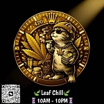 精品植物叶子