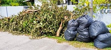  商业清洁花园整理清除绿色垃圾