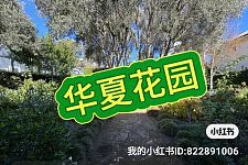  华夏花园 十年经验