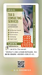  专业会计记账发工资报税