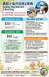  悉尼Epping 家庭式狗狗日托  寄养