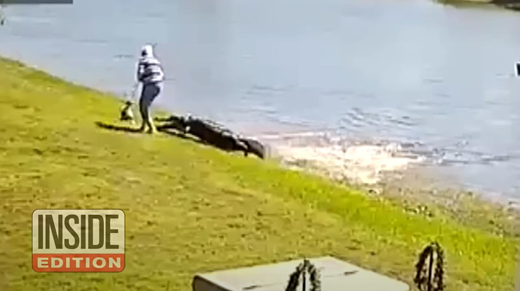 美国老妇遛狗 遭鳄鱼拖入池塘身亡 现场影像曝光（组图/视频） - 1