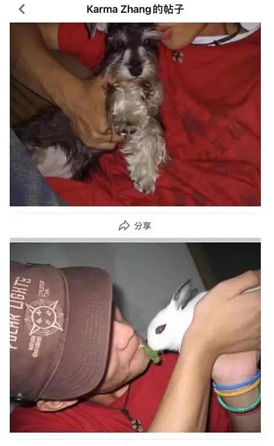 郑爽晒张恒私密视频，躺地上痛苦呻吟，被指疑似嗑药引热议（组图） - 19