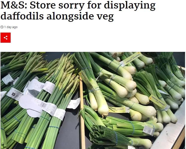 蔬菜鲜花搞不清？BBC华裔主播把玛莎骂道歉，英国网友：我也吃过...（组图） - 2