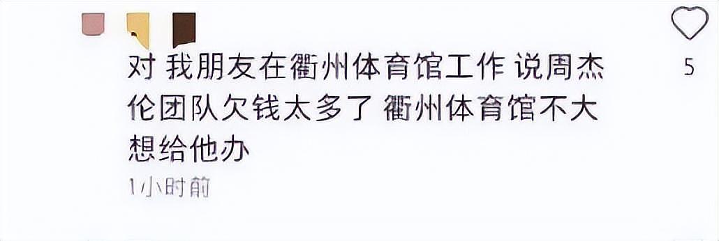 奇怪！周杰伦罕见举动，引发猜想和争议：为何今年疯狂开演唱会？（组图） - 8