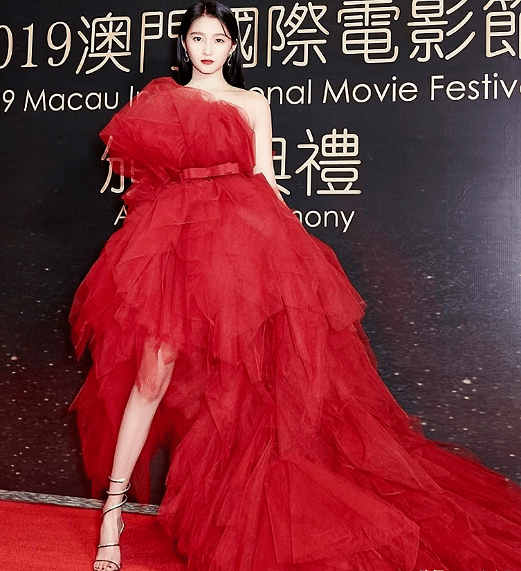 给近半年红毯最美女星排个名，倪虹洁第三名，第一名出人意料（组图） - 31