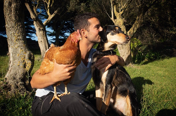 一个法国男人和一只鸡相伴相爱10年环游世界，但最终它还是走了（组图） - 19