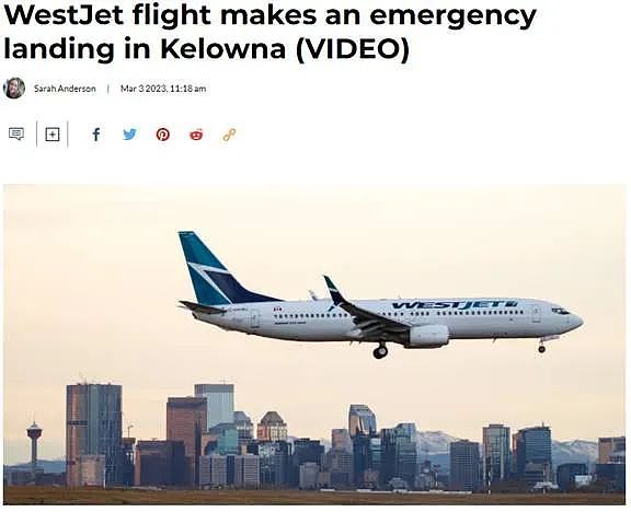 全机遇难！加拿大飞机失联5天已证实坠毁！西捷航班突发引擎熄火紧急迫降，乘客吓疯（视频/组图） - 8