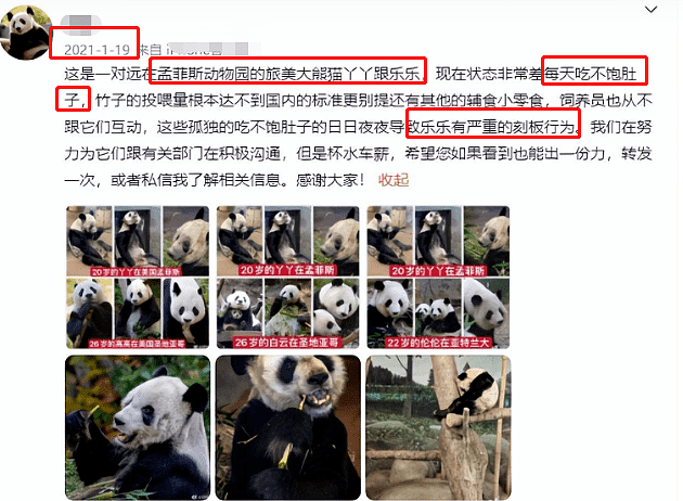 看中美日韩的熊猫状态就知道！被美国冷落的，从来都不止是熊猫（组图） - 11