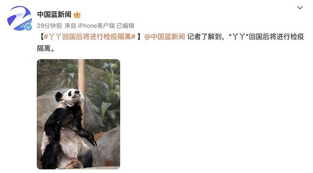 中国网民为什么请愿呼吁旅美大熊猫丫丫回国（组图） - 2