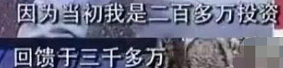 5位赚够钱就“退休”的明星，王菲休假18年，钟楚红看不上通告费（组图） - 28