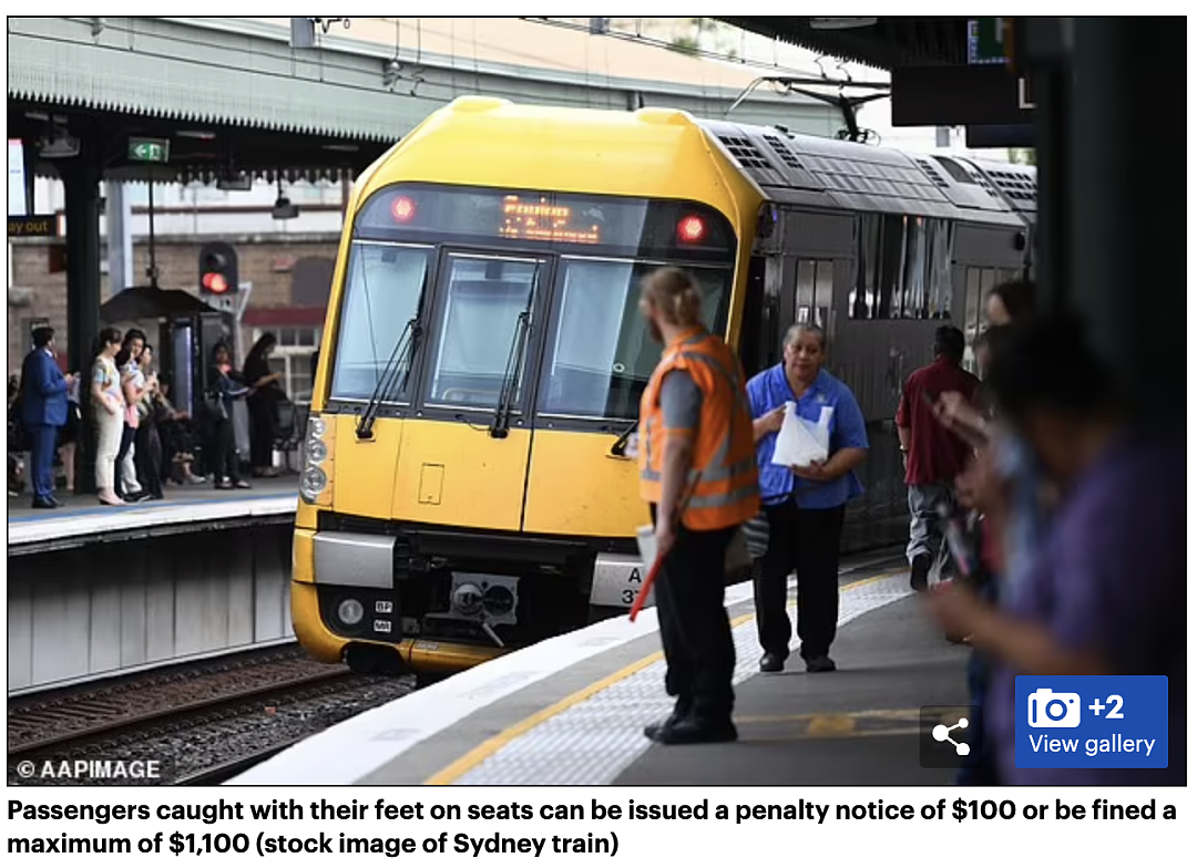 悉尼妈妈曝光：男子在火车上这个动作，或恐罚$1650！网友热议：太不礼貌了...（组图） - 5