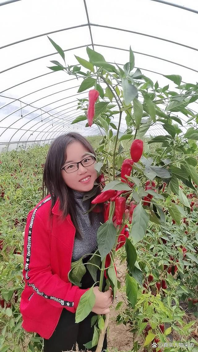 我甘肃女主持人，26岁回乡承包300多亩地种辣椒，却被累进医院（组图） - 14