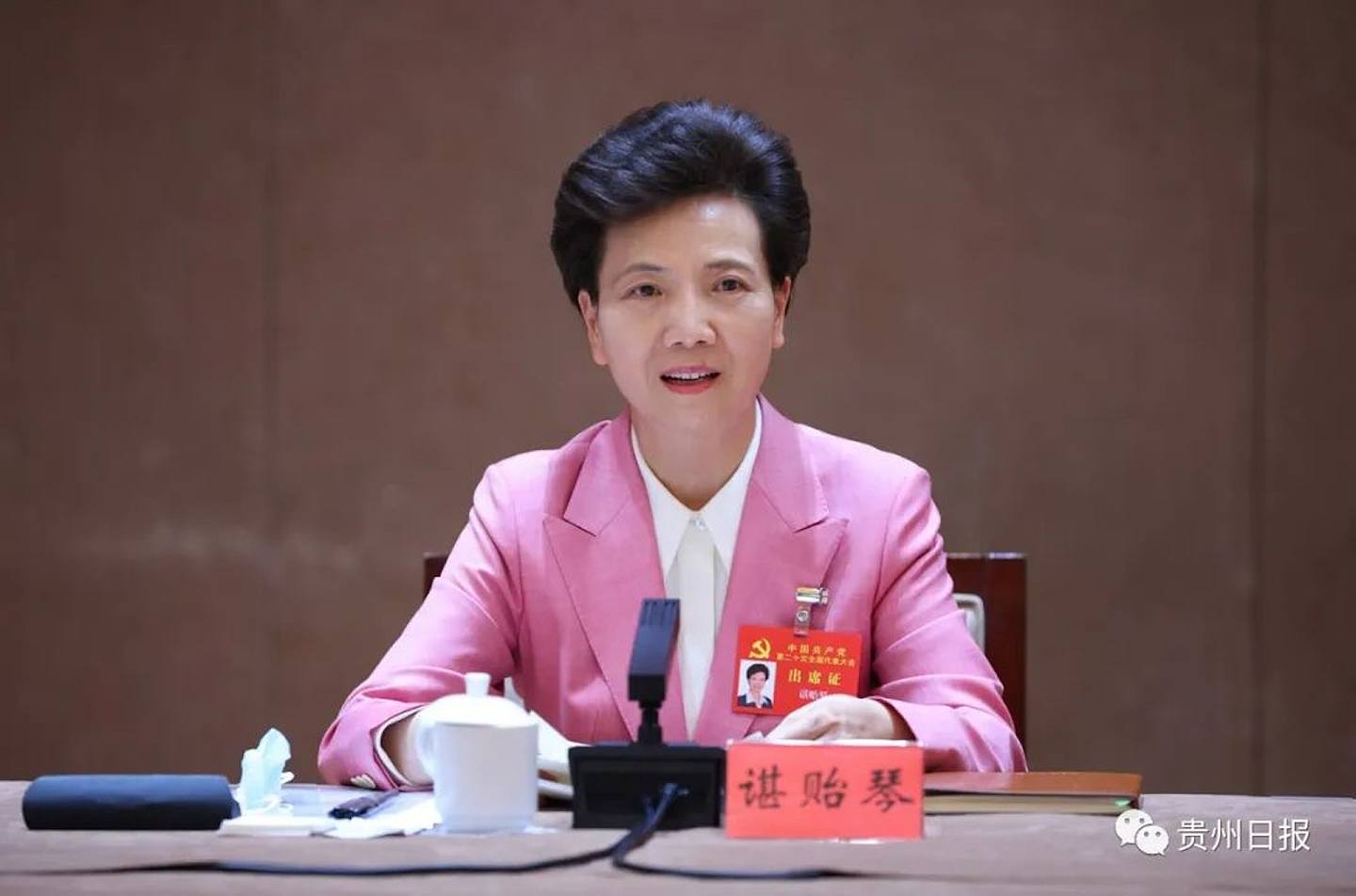 谌贻琴当选中国国务委员，成为唯一女性领导人（组图） - 2