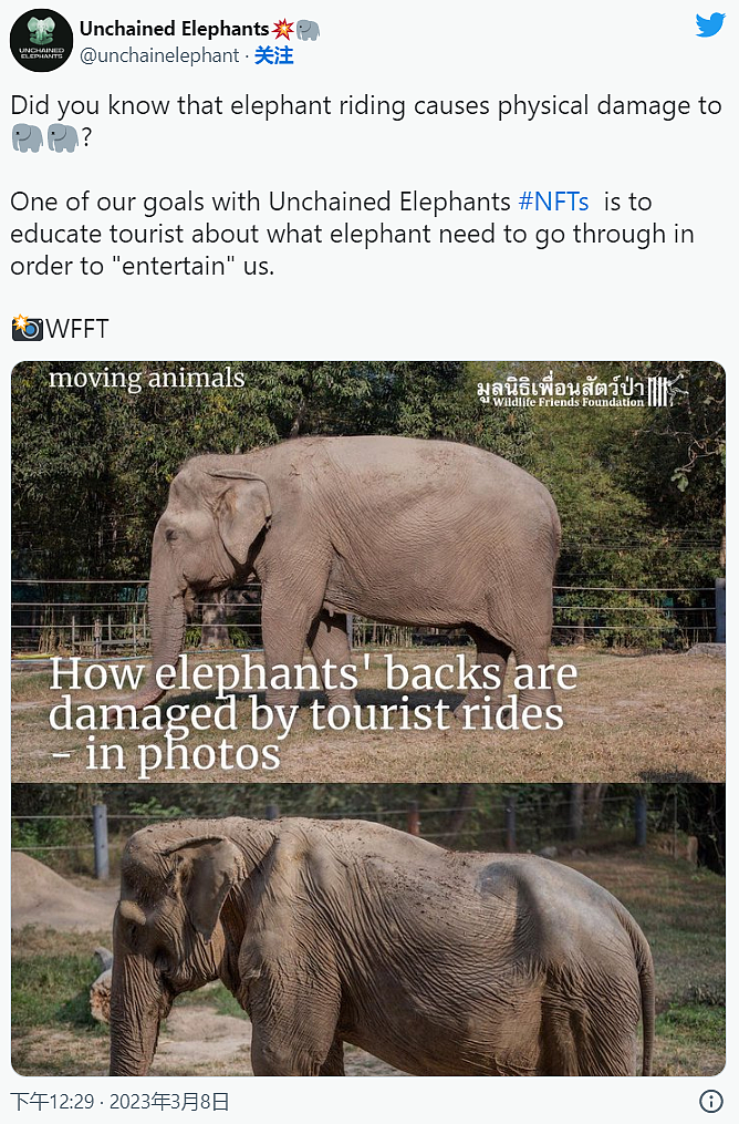 去泰国别再骑大象了，看这张照片就知它们多可怜（组图） - 2