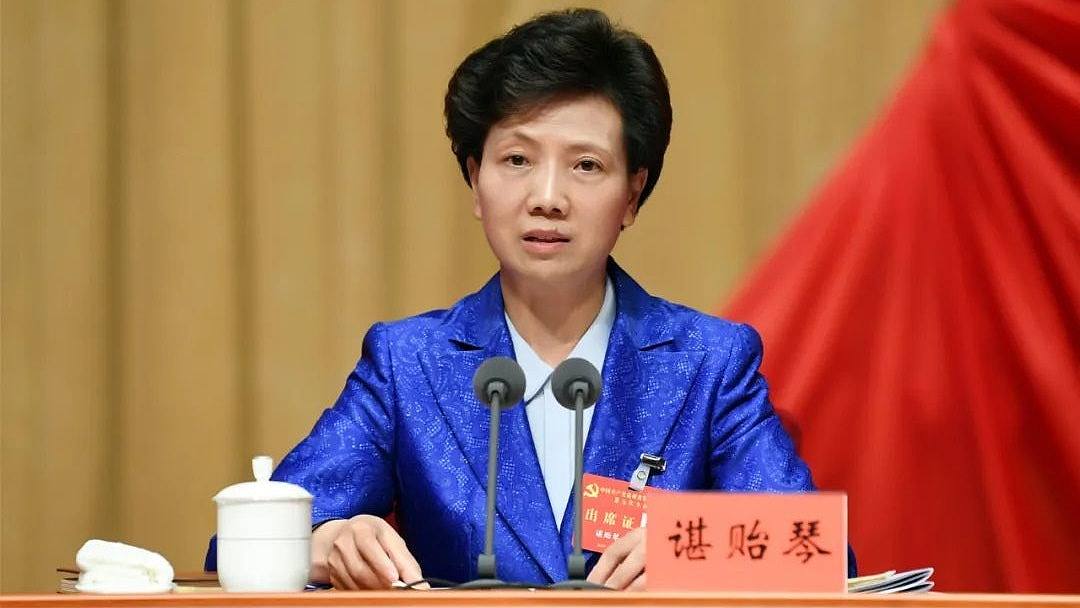 谌贻琴当选中国国务委员，成为唯一女性领导人（组图） - 1