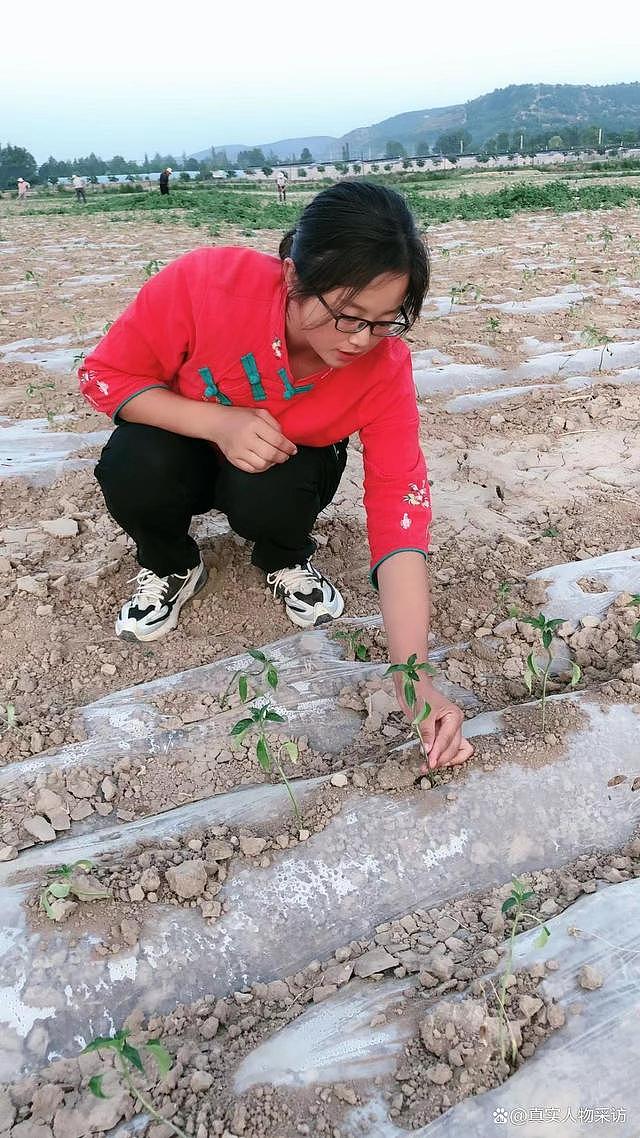 我甘肃女主持人，26岁回乡承包300多亩地种辣椒，却被累进医院（组图） - 3
