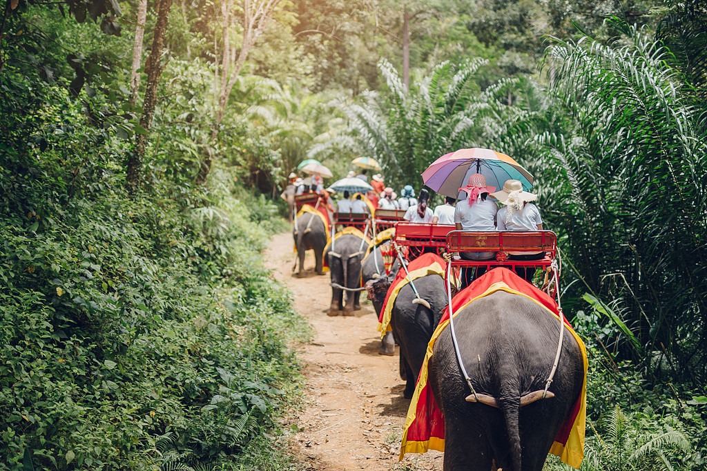 去泰国别再骑大象了，看这张照片就知它们多可怜（组图） - 1