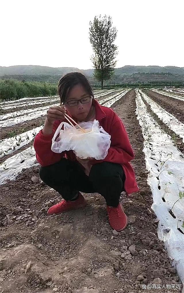 我甘肃女主持人，26岁回乡承包300多亩地种辣椒，却被累进医院（组图） - 12