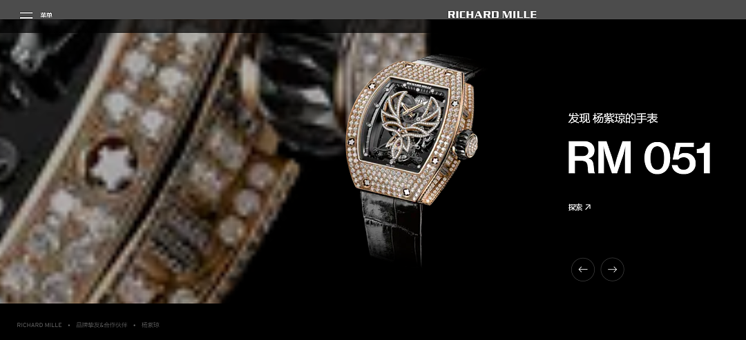 【时尚】从 Richard Mille 到爱马仕，华人影后杨紫琼曾与哪些顶级品牌结缘（组图） - 5