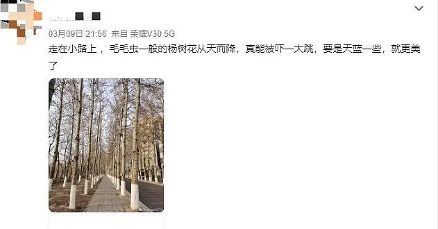 “天降毛毛虫雨！”美媒集体报道中国生态灾难，仔细一看后，中国网友笑疯了...（组图） - 9