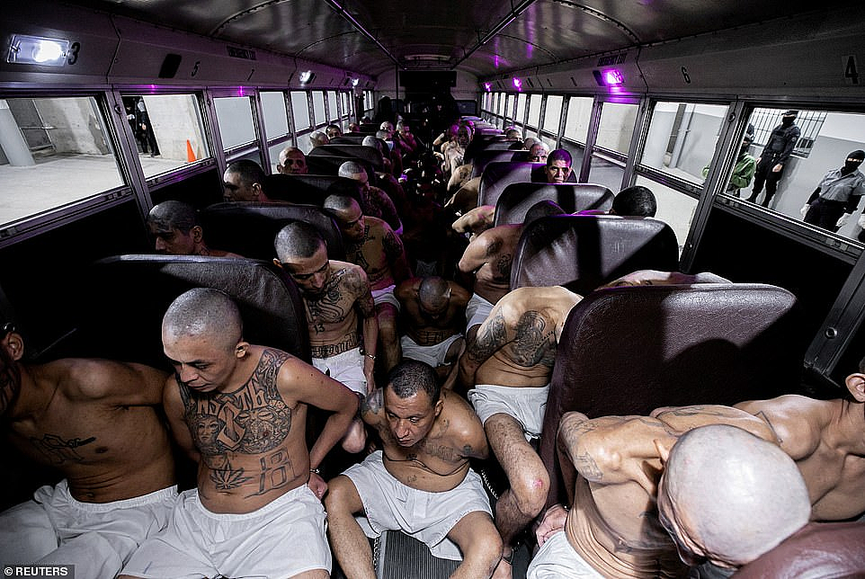 世界最大的“超级监狱”内部，震撼曝光：赤裸上身、全部光头、只睡钢板！网友：美国急需（组图） - 6