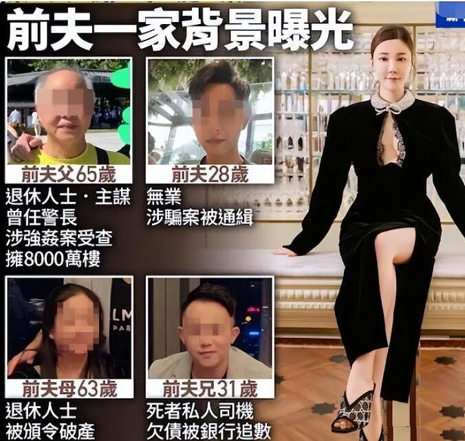 蔡天凤能嫁入豪门被曝是公公同意的，想利用女方帮自己家洗钱（组图） - 12