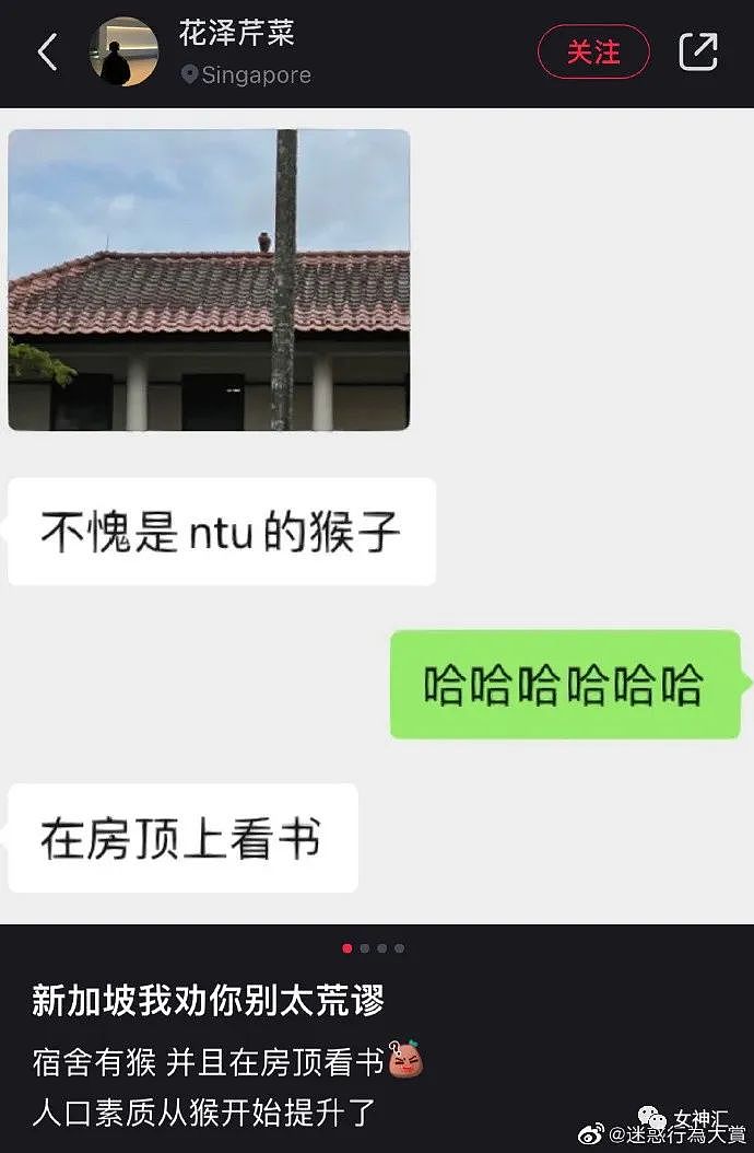 【爆笑】男朋友花1.7w送我高跟鞋求婚，拆开后当场吓哭！网友崩溃：眼睛要瞎了！（组图） - 35