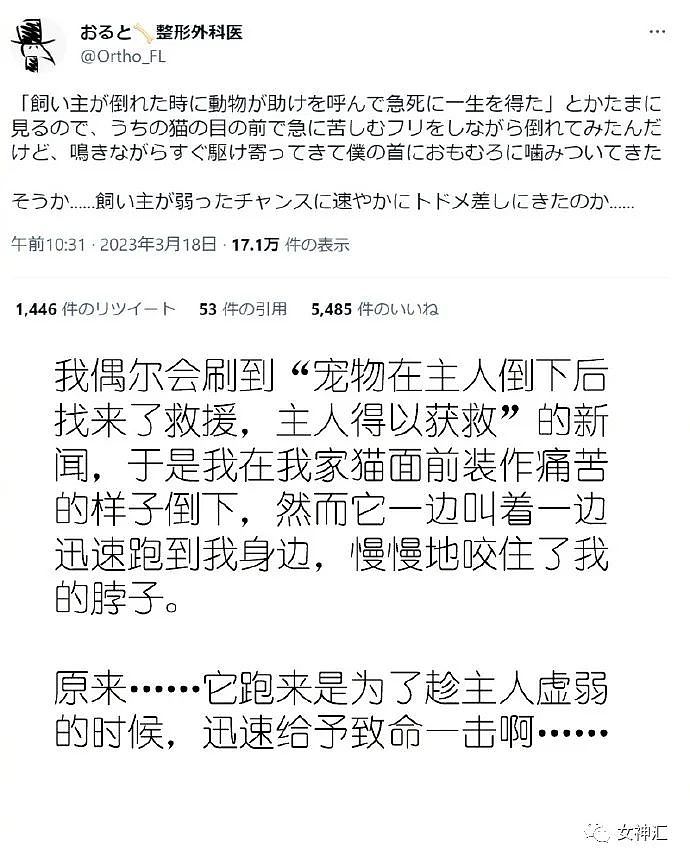 【爆笑】海底捞服务员哭诉：“你是来逼我辞职的吗？”网友笑疯：场面极度失控（视频/组图） - 6