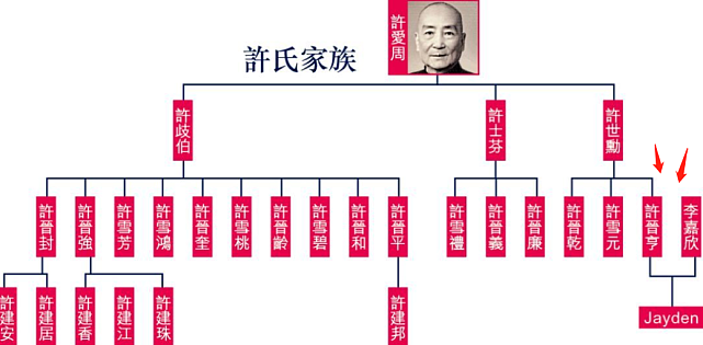 事实证明，嫁入豪门15年，李嘉欣骨子里还是个“暴发户”（组图） - 16