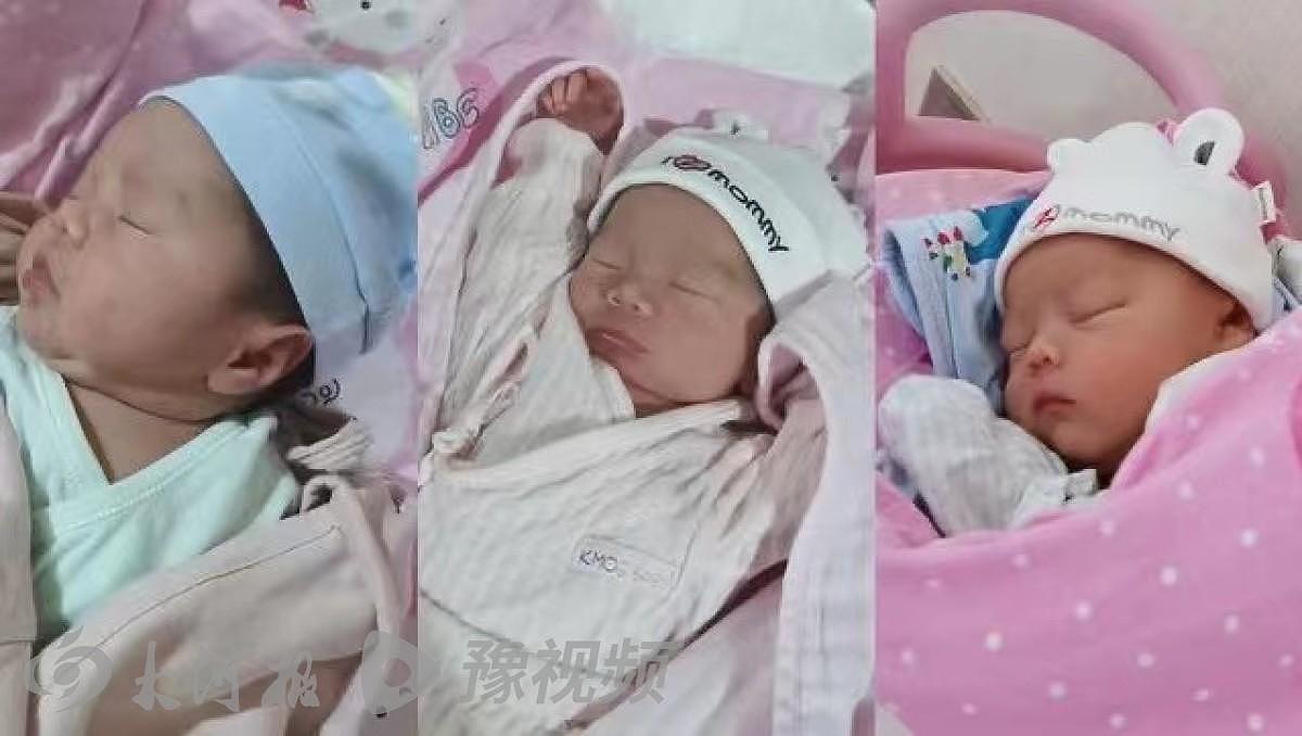 中国女子不婚生育混血3胞胎后备孕4孩：不鼓励模仿（视频/组图） - 4