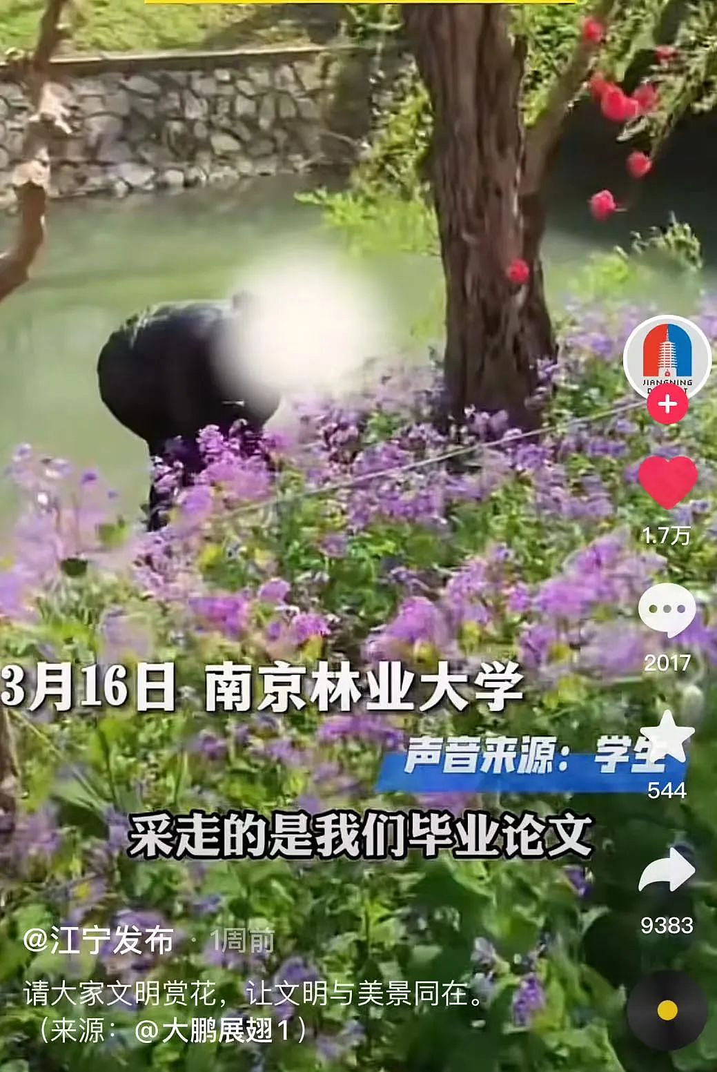 杭州热门景点短裙女子一段不堪视频流出！你没素质的样子，真的很丑（组图） - 11