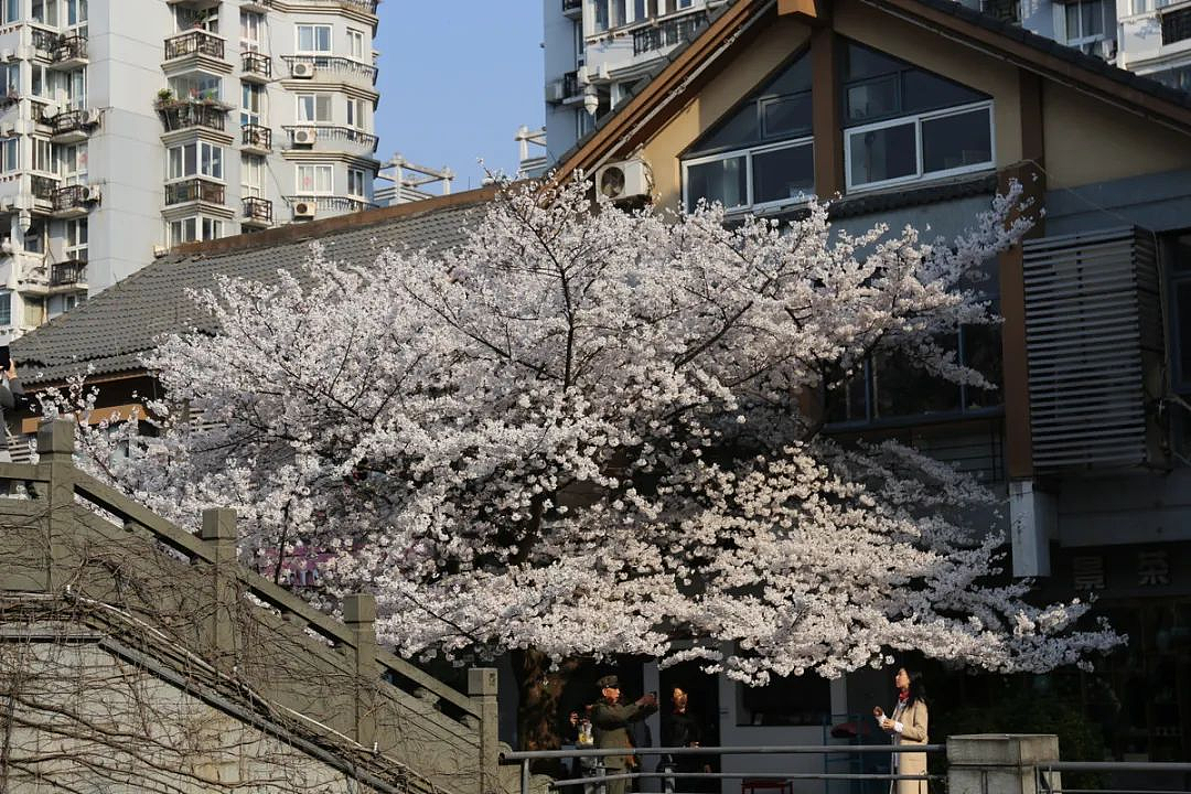 杭州热门景点短裙女子一段不堪视频流出！你没素质的样子，真的很丑（组图） - 2