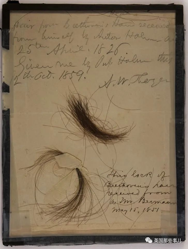 196年之后，科学家终于找到贝多芬真正的头发，查明死因（组图） - 19