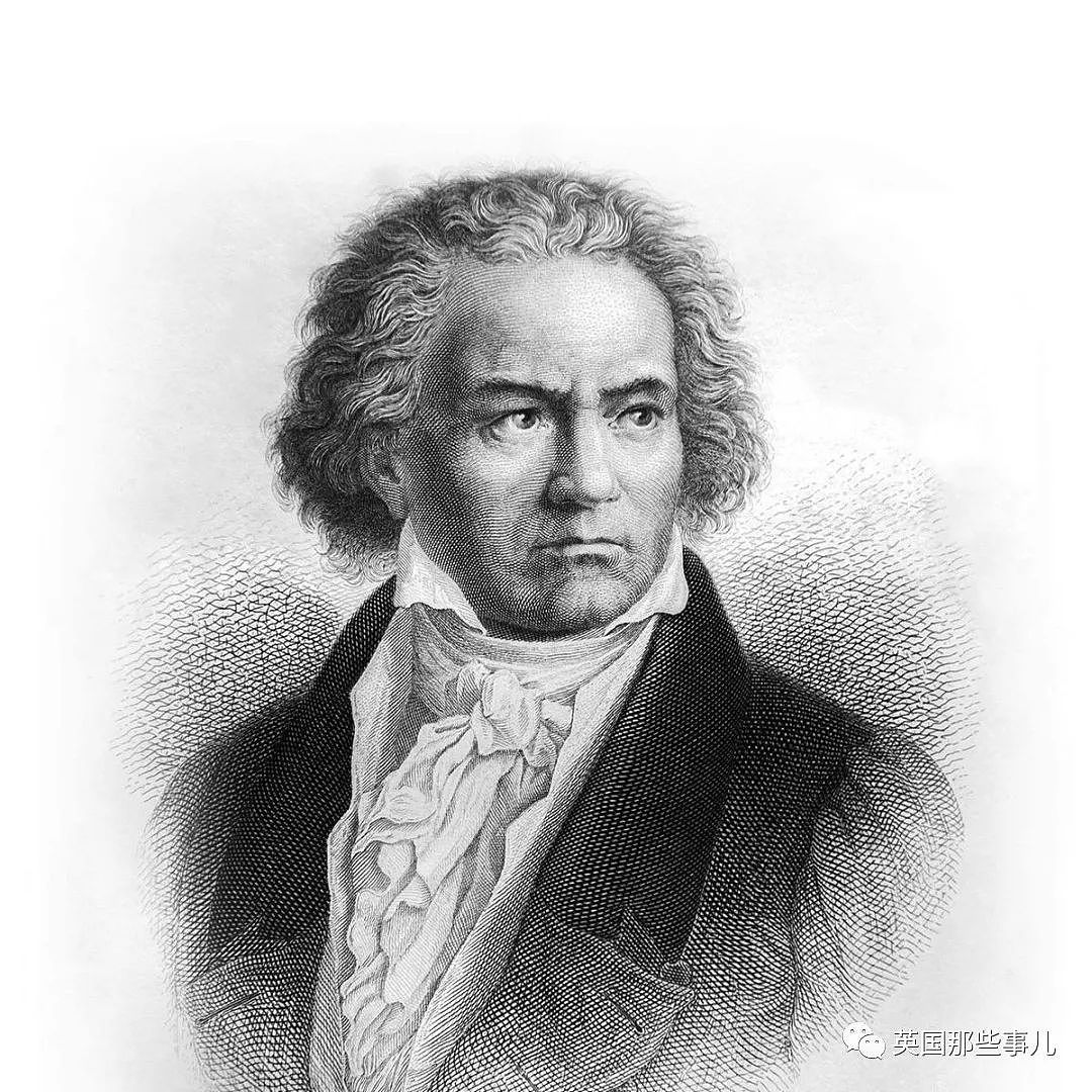 196年之后，科学家终于找到贝多芬真正的头发，查明死因（组图） - 15