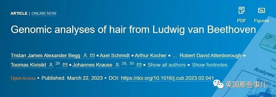 196年之后，科学家终于找到贝多芬真正的头发，查明死因（组图） - 7