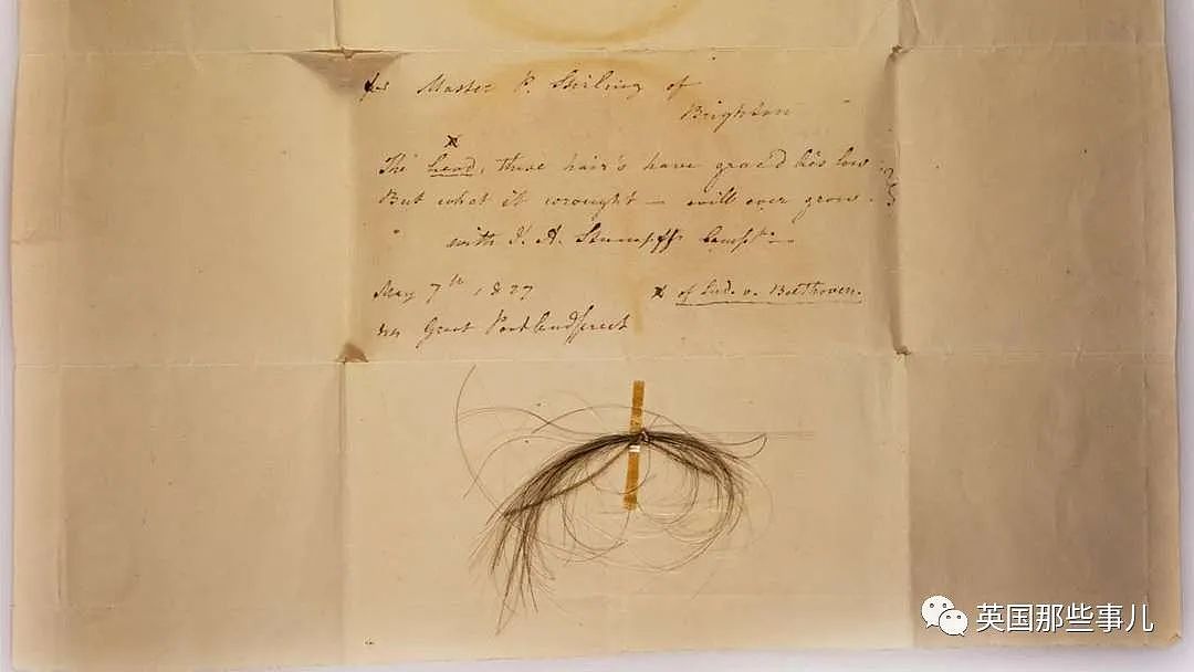 196年之后，科学家终于找到贝多芬真正的头发，查明死因（组图） - 21