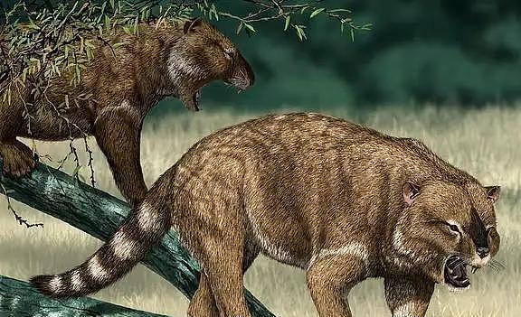 有袋类动物“先祖”在中国，不是澳洲！ 中国科学家称发现1.25亿年前的有袋动物化石（组图） - 17
