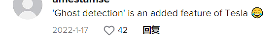 开特斯拉经过墓地，系统却识别周围全是“人”，真相太诡异...（组图） - 6