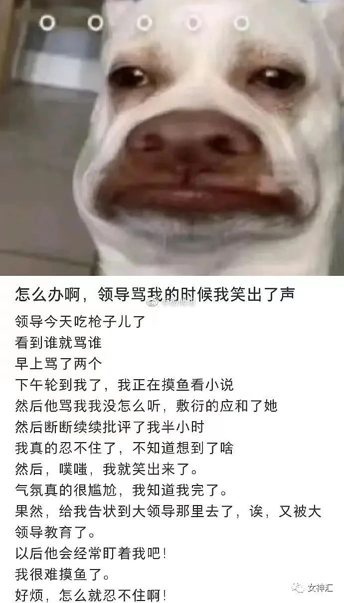 【爆笑】爸妈花80w给我装修婚房，3D效果图把我吓哭？网友崩溃：要给设计师跪下了（视频/组图） - 40