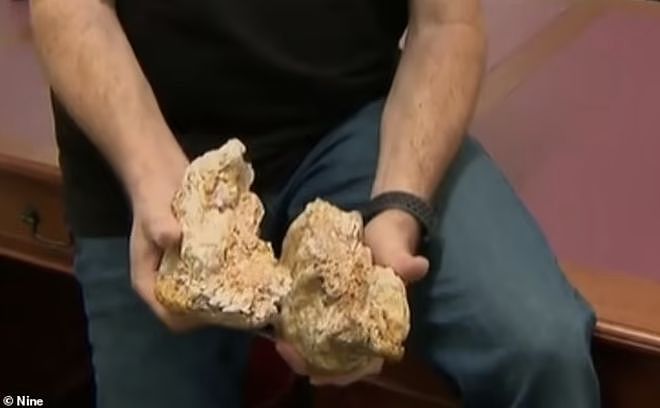 维州男子“淘金”暴富成真！挖到4.6公斤，价值$24万的金块（视频/组图） - 1