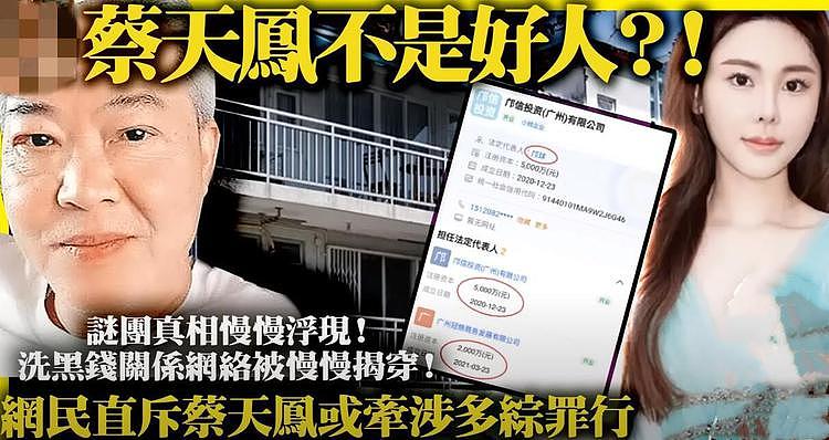 蔡天凤的人设崩了！香港媒体透露，女方或牵扯多宗罪行（组图） - 3