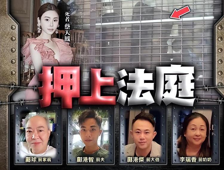 蔡天凤的人设崩了！香港媒体透露，女方或牵扯多宗罪行（组图） - 15