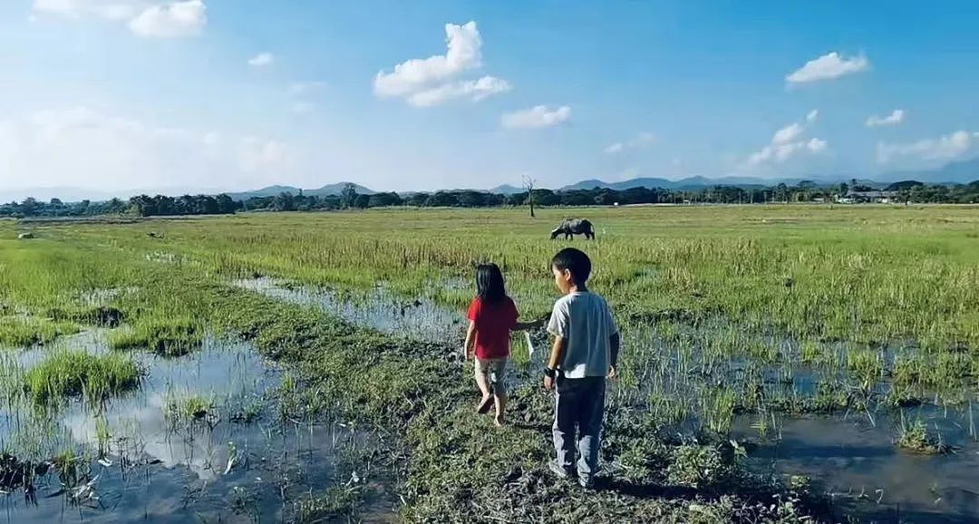 从“普校”到国际学校：中国家庭为孩子未来付出巨额代价（组图） - 5