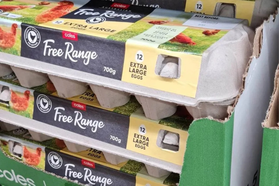 Cartons of Coles Free Range eggs