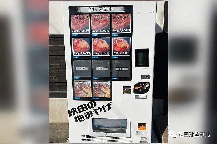 日本出现“熊肉售货机”，比牛肉便宜还好吃！专家：“射杀最合理”，结果竟成...（组图） - 5