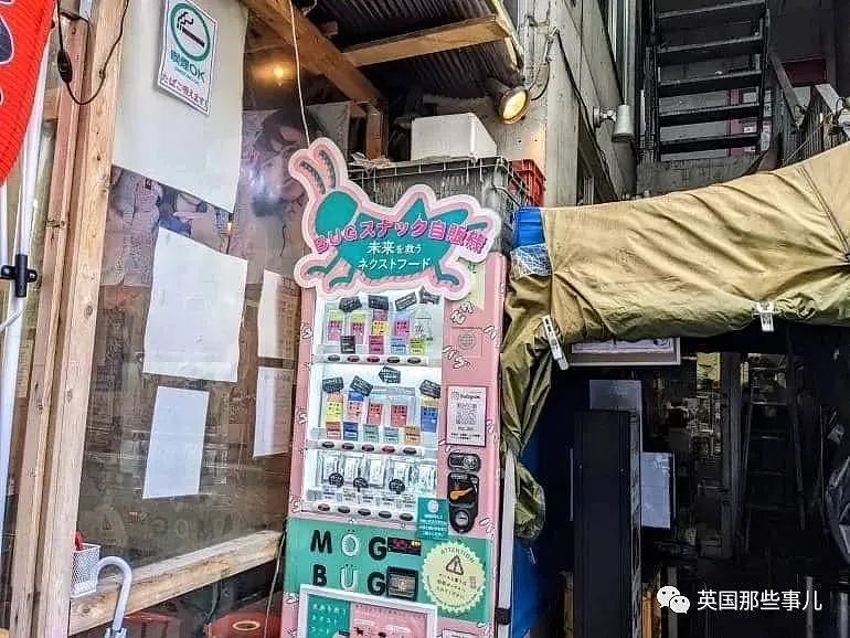 日本出现“熊肉售货机”，比牛肉便宜还好吃！专家：“射杀最合理”，结果竟成...（组图） - 1