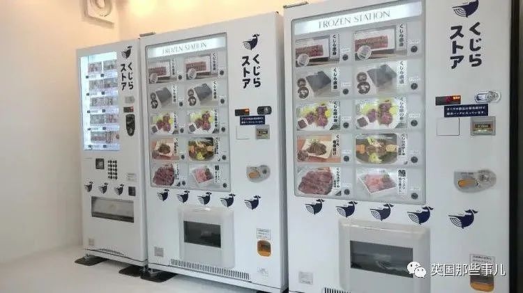 日本出现“熊肉售货机”，比牛肉便宜还好吃！专家：“射杀最合理”，结果竟成...（组图） - 4