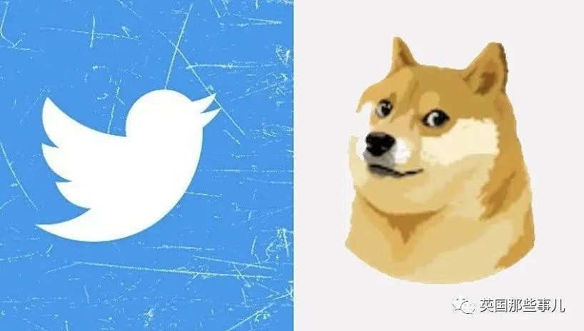 马斯克把推特logo从蓝鸟改成了狗头？狗狗币一夜猛涨，网友疯狂吐槽…（组图） - 3