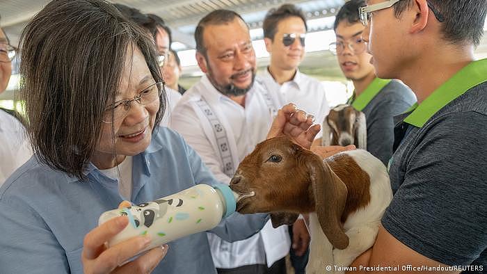 台湾领导人蔡英文4日在伯利兹参加活动时喂了小羊。
